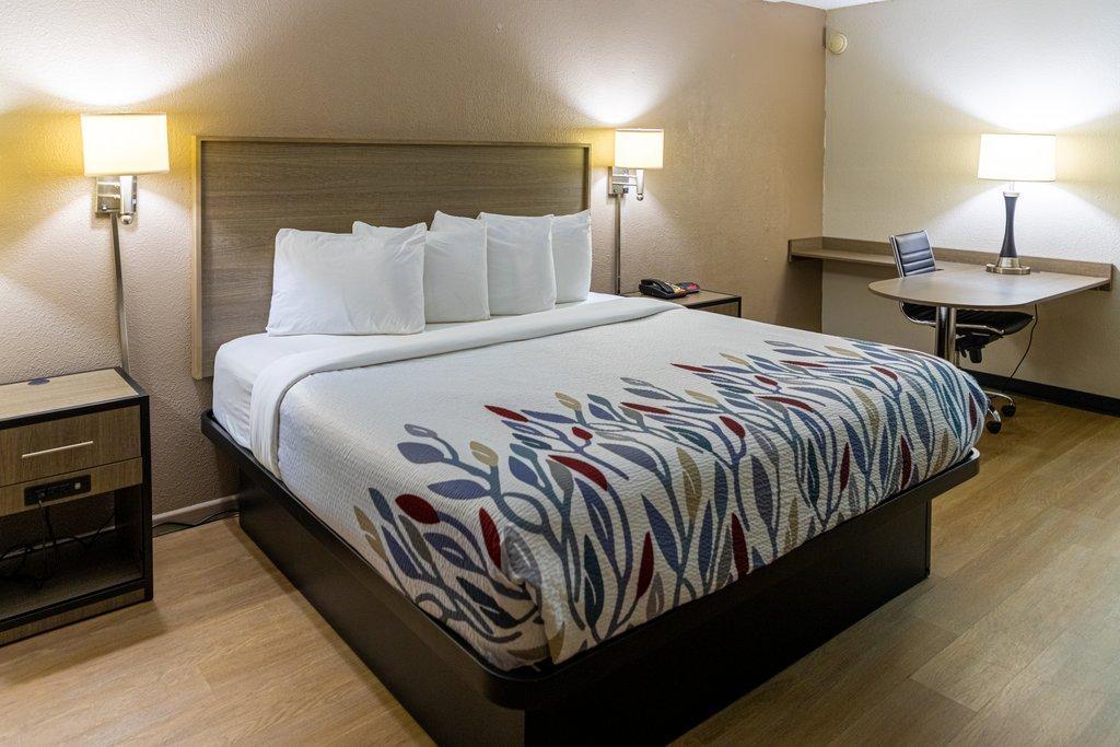 Red Roof Inn Savannah - Richmond Hill I-95 מראה חיצוני תמונה
